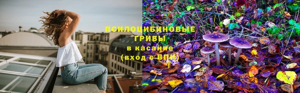 гидропоника Баксан