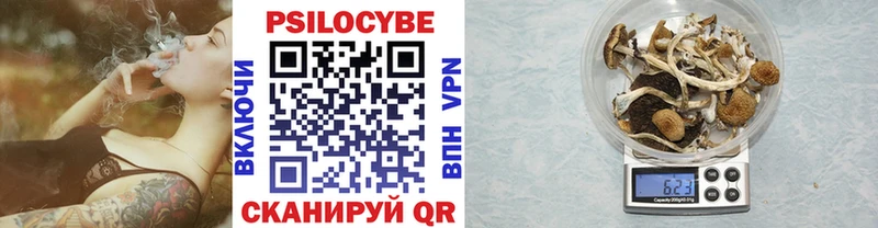 Галлюциногенные грибы Psilocybine cubensis  kraken как войти  площадка наркотические препараты  Нововоронеж 